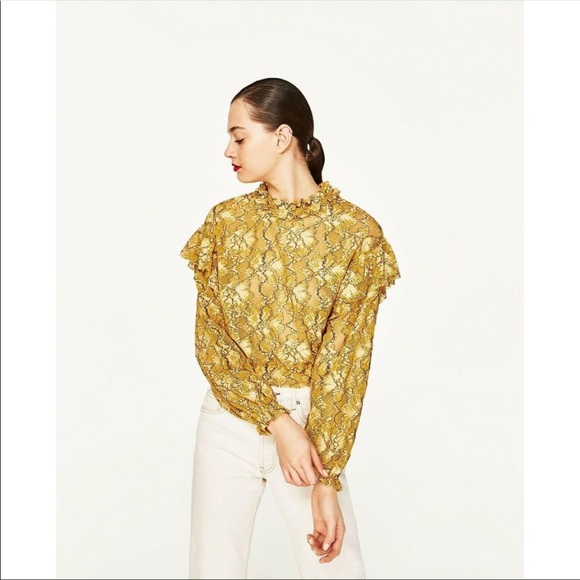 Zara Lace Long Sleeve Blouse - Picture 1 of 4